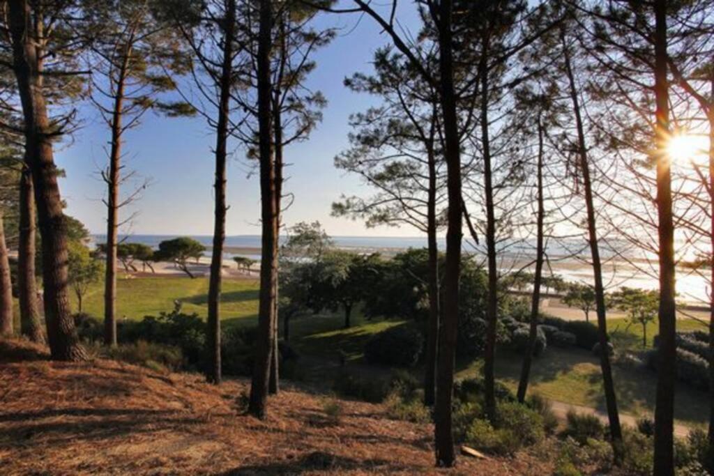 Appart Sur La Plage Pied Dans L Eau Avec Terrasse Jardin Vue Sur Le Bassin Depuis La Terrasse , Parking Arcachon Dış mekan fotoğraf
