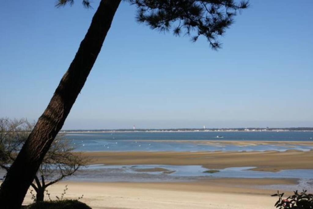 Appart Sur La Plage Pied Dans L Eau Avec Terrasse Jardin Vue Sur Le Bassin Depuis La Terrasse , Parking Arcachon Dış mekan fotoğraf