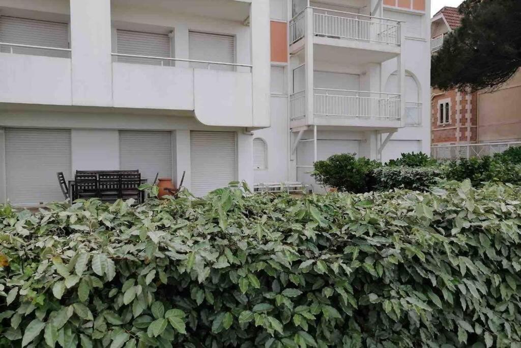 Appart Sur La Plage Pied Dans L Eau Avec Terrasse Jardin Vue Sur Le Bassin Depuis La Terrasse , Parking Arcachon Dış mekan fotoğraf