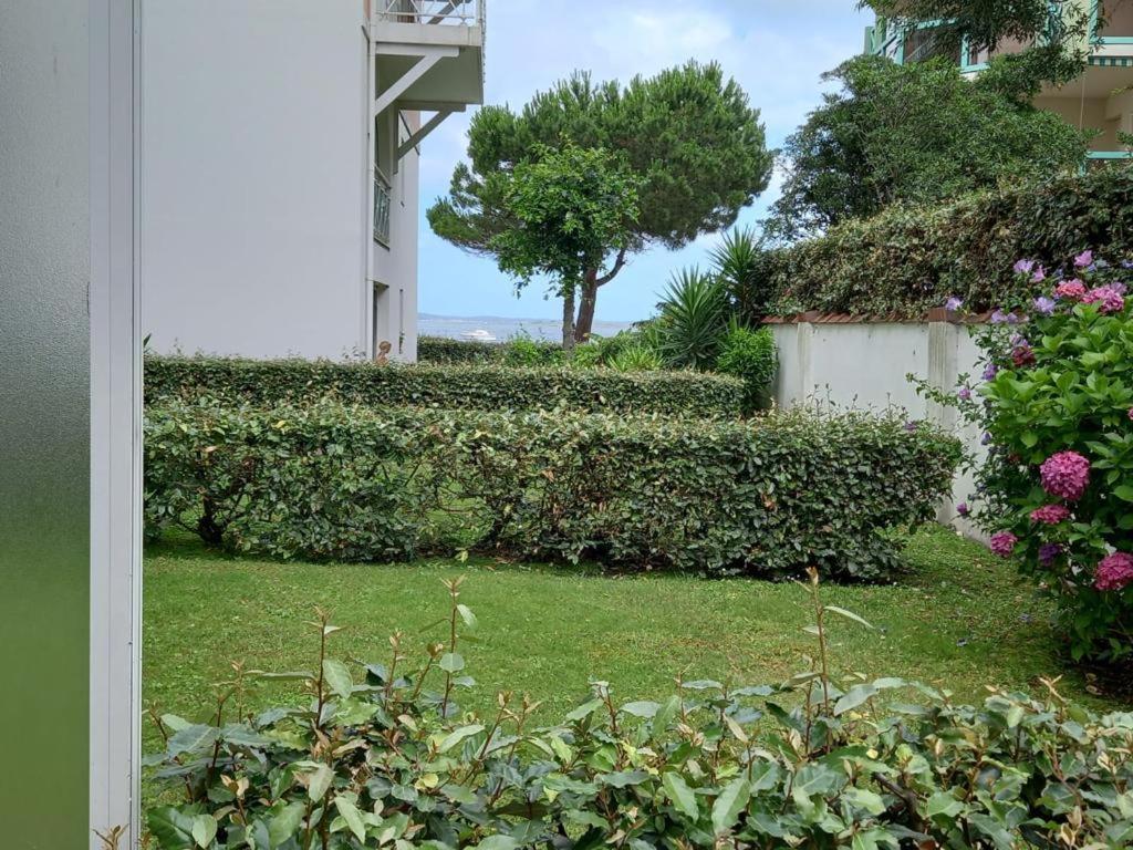 Appart Sur La Plage Pied Dans L Eau Avec Terrasse Jardin Vue Sur Le Bassin Depuis La Terrasse , Parking Arcachon Dış mekan fotoğraf
